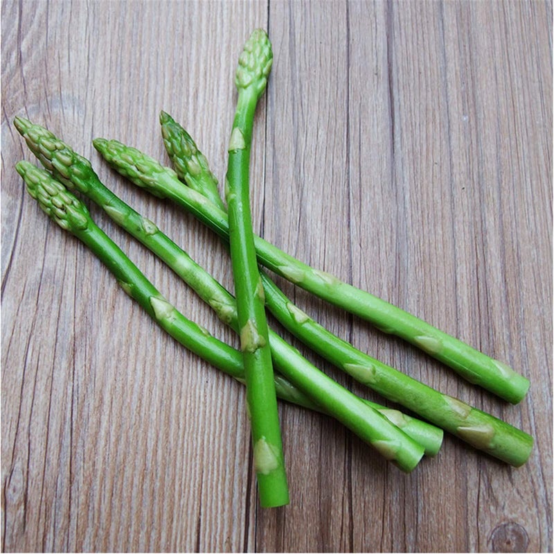 Zzooi 5PCS Artificial High Simulation Asparagus Asgus Display Props Cabinet Showcase Decoration - Image 1